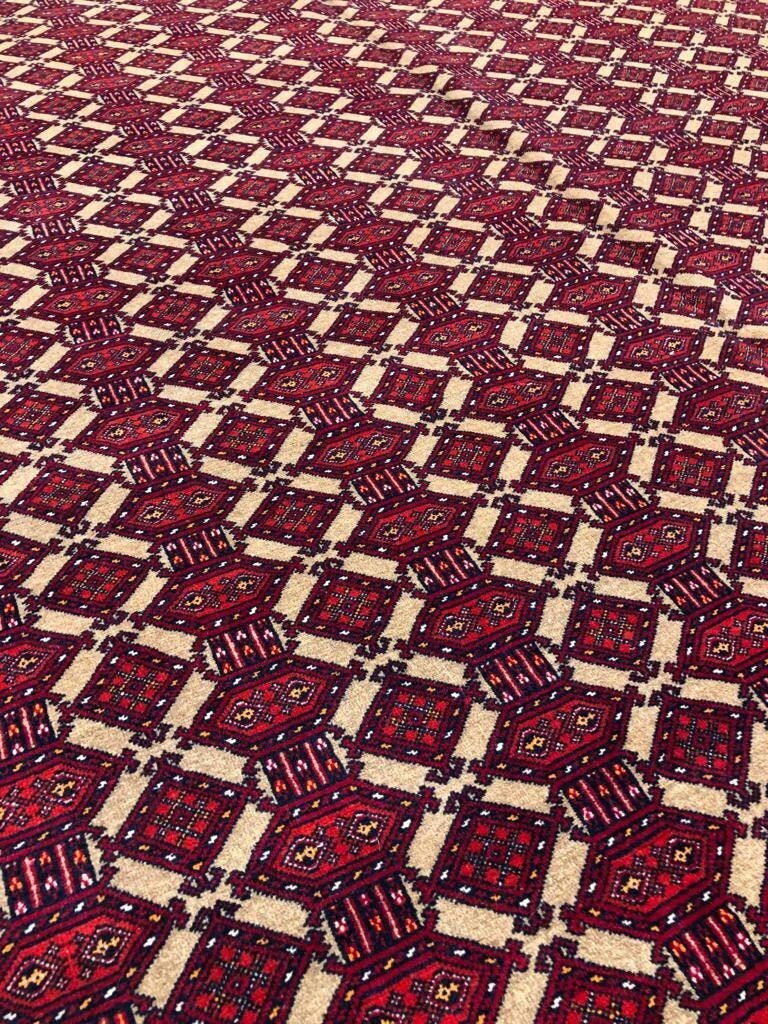 10x13 ft extremely tightly knotted soft afghan beljic hand-knotted zahir shahi design rug